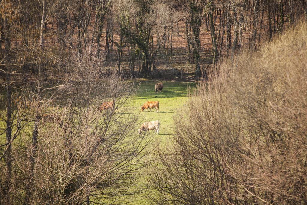 Pazo De Sedor Vendégház Arzúa Kültér fotó